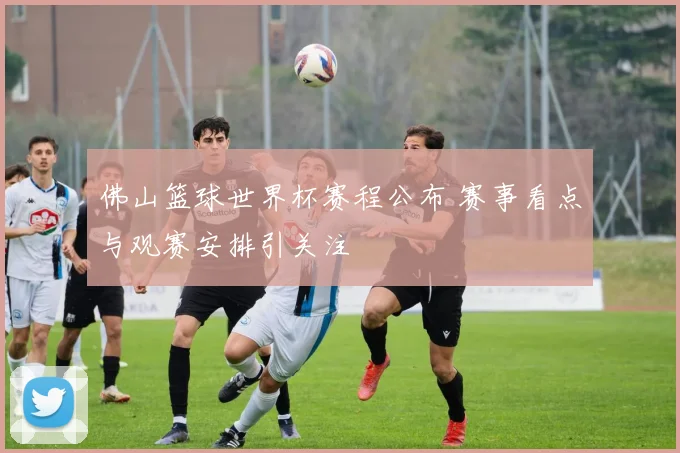 佛山篮球世界杯赛程公布 赛事看点与观赛安排引关注