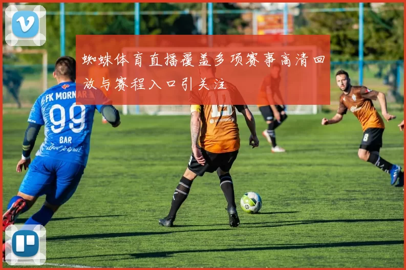 蜘蛛体育直播覆盖多项赛事高清回放与赛程入口引关注